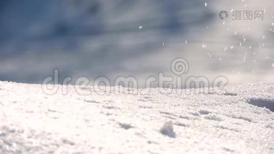 冬天在森林里下雪视频