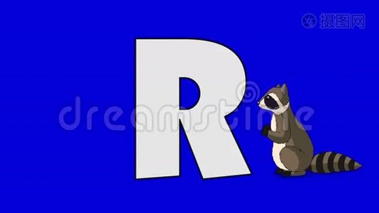 字母R和浣熊（前景）视频