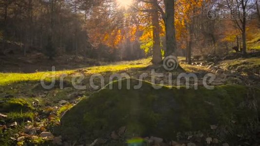 秋天的乡村风景视频