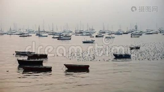 日落时在海上钓鱼船。 鸟海鸥在海上飞翔。视频