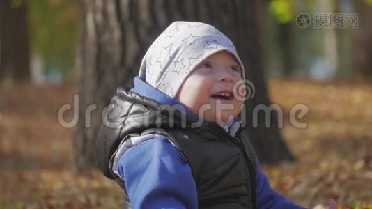 小男孩坐在草地上，落叶在公园里，在明亮和阳光明媚的初秋黄叶视频