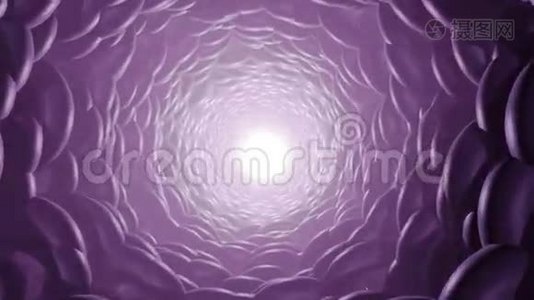 抽象紫色虫孔，可循环视频
