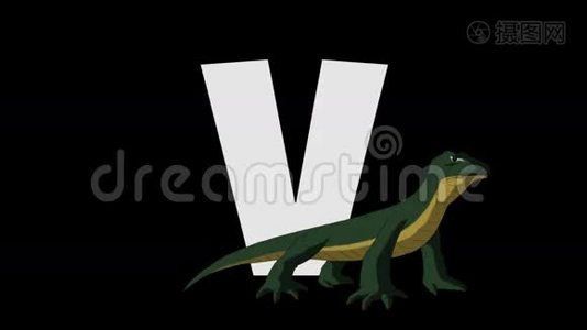 字母V和Varanus（前景）视频