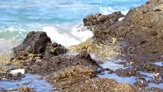 岩石海滩上的海浪视频