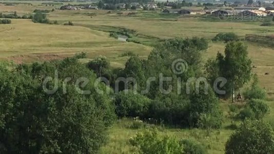 夏日乡村风景视频