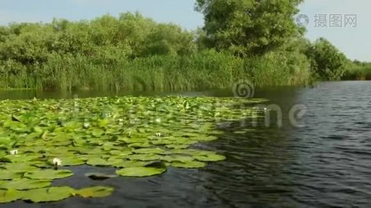 多瑙河三角洲湿地在运动视频