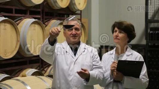 专家和酿酒师估计红酒的质量视频