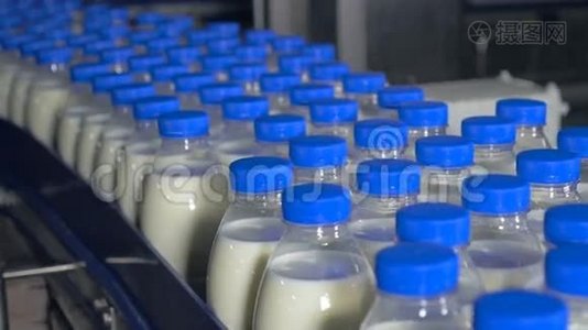 牛奶生产厂的传送带上有许多瓶牛奶。视频