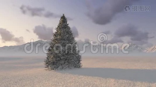 树在山的背景上视频