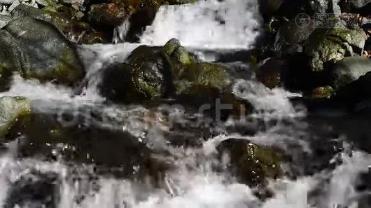 山溪。 水波荡漾。视频