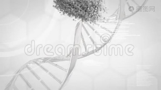 移动3d DNA链和人头视频