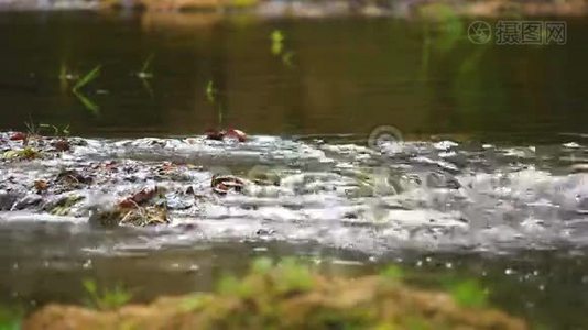 流动的水和波浪视频