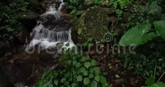 热带雨林山脉的小瀑布视频