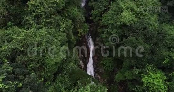 热带雨林山脉的小瀑布视频