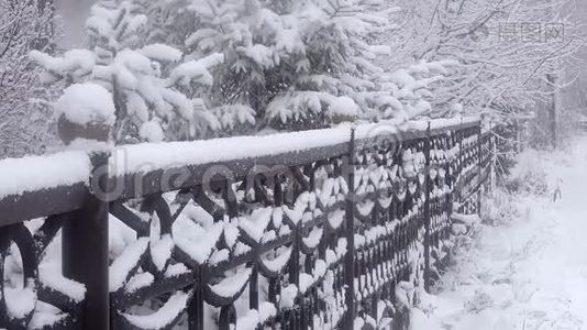 冬天降雪在城市里，柔和的圣诞节早晨降雪视频