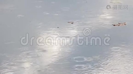 雨水滴在水上视频