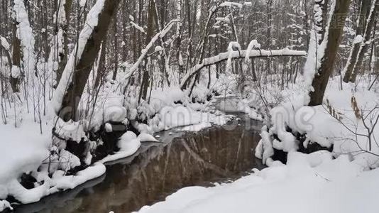 美丽的冬季景观，白雪覆盖的树木。视频