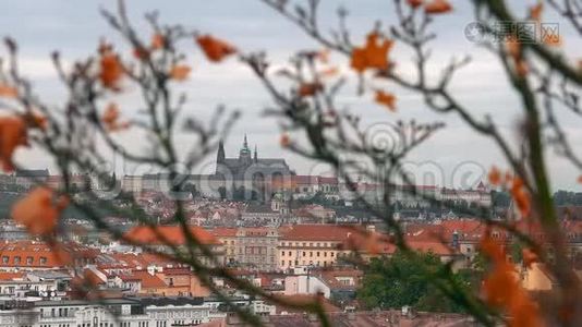 在捷克布拉格，旧城镇建筑与红色屋顶的鸟瞰。 布拉格圣维特大教堂。视频