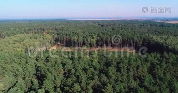 砍伐鸟瞰图，工业规模的砍伐森林，使用特殊设备砍伐森林，砍伐森林视频