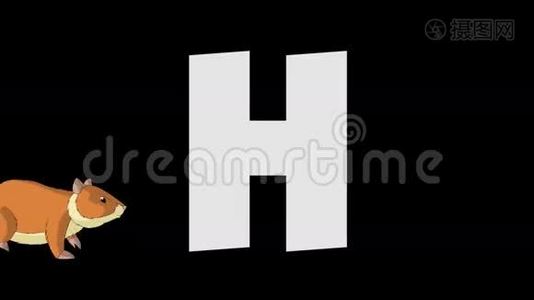 字母H和仓鼠（前景）视频