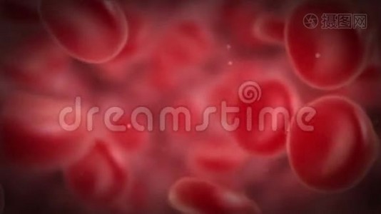 红细胞旋转。视频