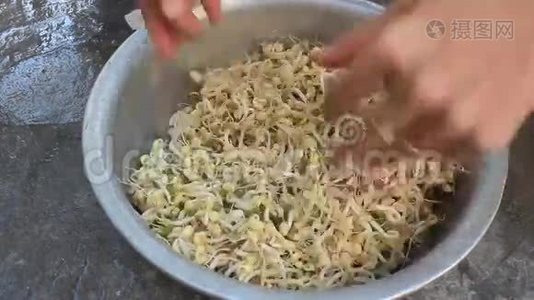 洗干净豆芽.视频
