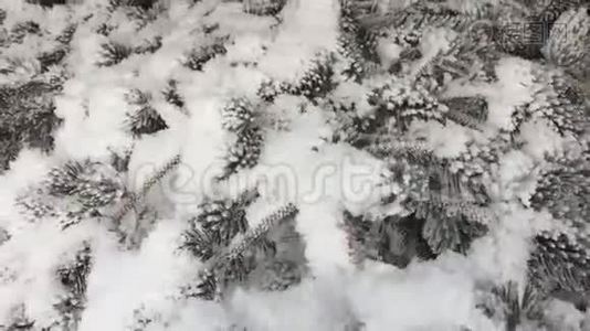 白雪中的圣诞树视频