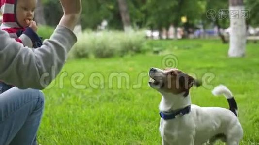 在公园里和她的狗玩耍的女人视频