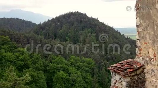 夏日的山景，绿树成荫视频