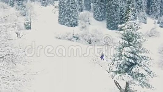 滑雪板和滑雪健康活动，到阿尔卑斯山探险，瑞士视频
