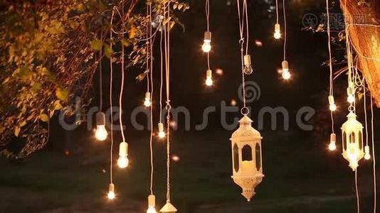 装饰古董爱迪生风格的灯丝灯泡挂在树林里，玻璃灯笼，灯装饰花园在视频