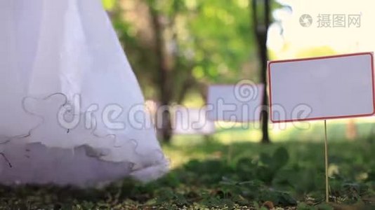 公园里的婚礼视频