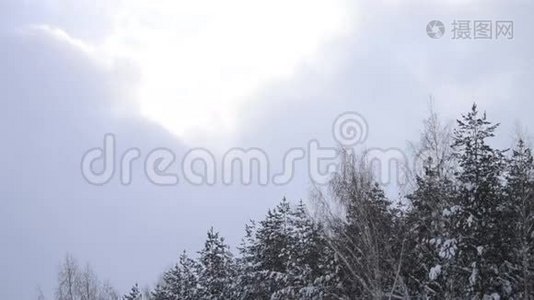 森林里的雪视频