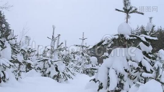 森林里的雪视频