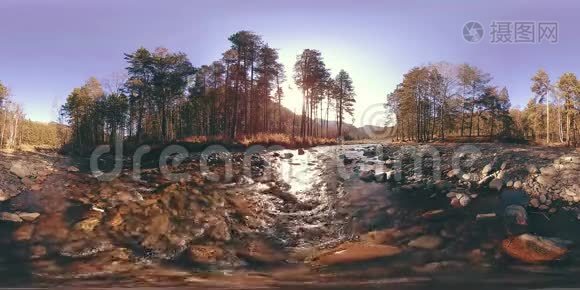 360VR虚拟现实的一片野山，松林和河流流淌.. 国家公园，草地和阳光。视频