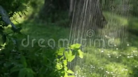 草地花园草坪洒水系统。 在花园的绿色草地上撒些水视频
