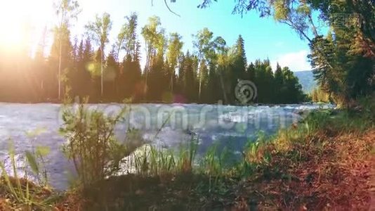 山河岸边的草甸。 有绿草，松树和阳光的景观.. 在机动滑块小车上运动。视频