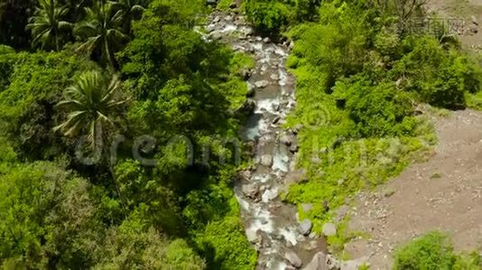 菲律宾雨林中的山河，卡米吉因。视频