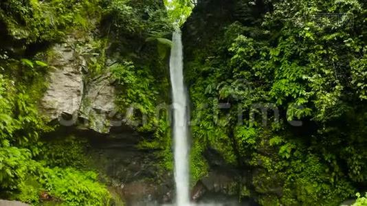 美丽的热带瀑布Camiguin，菲律宾。视频