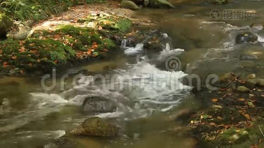 流动的河流视频