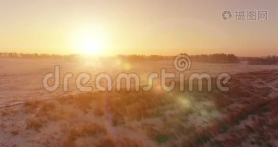 无人驾驶飞机观看寒冷的冬季景观，北极的田野，覆盖着霜雪的树木和清晨的阳光视频