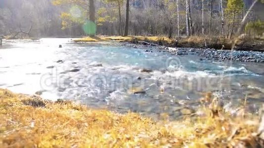 多利滑块拍摄了在森林附近的一条山河里飞溅的水。 潮湿的岩石和阳光。 水平稳定视频