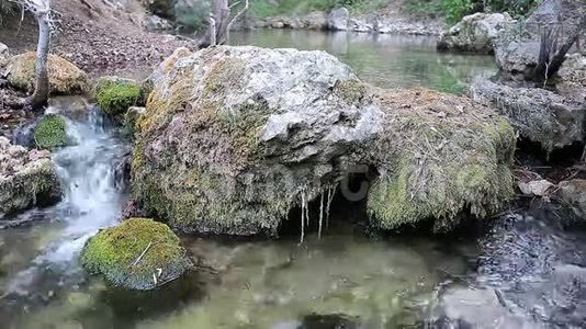 木河在夏天。视频