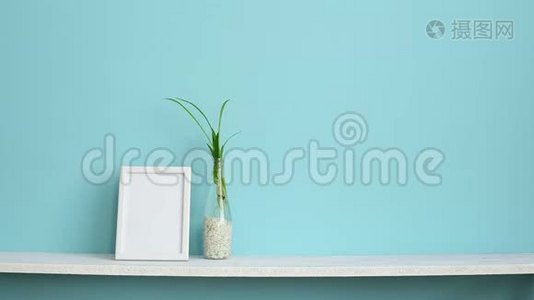 现代客房装饰与相框模型。 白色的架子靠在粉绿色的墙壁上，上面有蜘蛛植物的插条，在水中视频