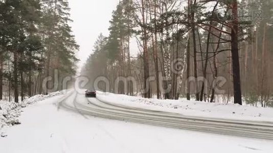 降雪时的冬季森林景观.视频