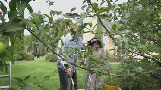 成熟的夫妻一起在后院视频