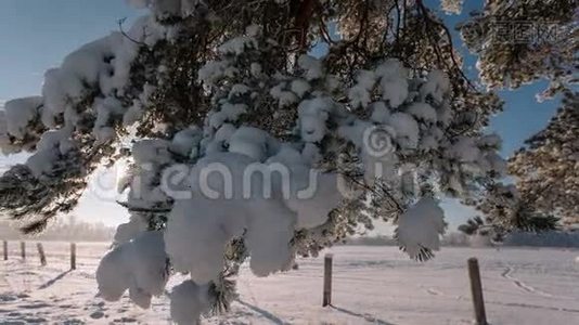 摄像机从右向左移动，拍摄一幅有树枝和田野的冬季景观。视频