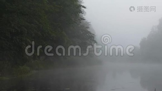 夏天日出时森林湖上的雾视频