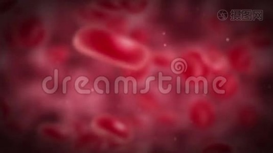 红细胞旋转。视频