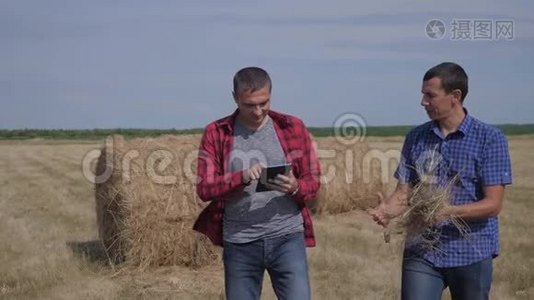 团队农业智慧农业理念.. 两个男人的农民在数字技术上的田野上漫步在干草堆上视频
